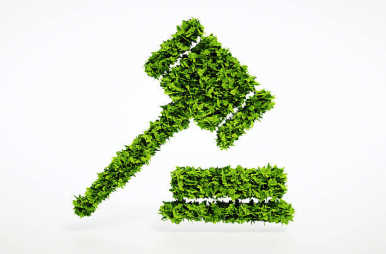 Zdjęcie przedstawia zielony młotek porośnięty trawą symbolizujący przetarg